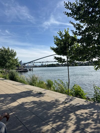 This image depicts a view of the Rhine River in Weil am Rhein, Germany. A pedestrian bridge with a distinctive curved structure spans the river, with several people visible walking across it. On the left bank, a pier with an outdoor seating area is visible, featuring tables, chairs, and a flag. Lush green trees and vegetation line the riverbank in the foreground, casting dappled shadows on a paved walkway. The water is calm with ripples, reflecting the blue sky which is dotted with wispy white clouds. In the distance, buildings and infrastructure are visible on the opposite bank, suggesting an urban environment.