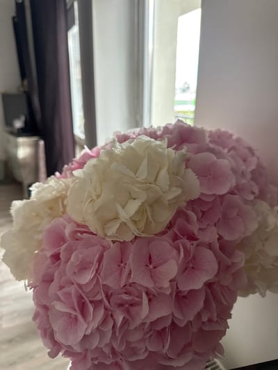 A close-up, medium-angle shot shows a bouquet of hydrangeas featuring predominantly pink and white blooms. The flowers are tightly packed, with some petals appearing slightly ruffled. In the background, out of focus, a window with vertical blinds is visible, letting in diffused light. To the left, a dark purple curtain hangs, and beyond that, a portion of a piece of furniture and a wall can be discerned. The scene appears to be indoors, likely a residential or commercial interior. The image does not provide any specific information to indicate its location in the city of Rzeszów, Poland.