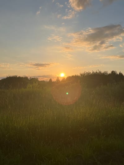 The image depicts a natural scene at sunset in Tulaŭski Sel'ski Savet, Belarus. The sun, a bright orb with a soft glow, is setting behind a dense line of trees that borders a field of tall grass. The sky is a gradient of pale blue transitioning to warm orange and yellow hues near the horizon, with scattered, wispy clouds catching the sunlight.
A prominent lens flare, appearing as a bright circle with a green dot in the center, is visible in the mid-right portion of the image, indicating the direction of the sun. The field of grass in the foreground and to the right is bathed in the warm, low light of the setting sun, casting long shadows and highlighting the textures of the grass. The overall mood is serene and peaceful, characteristic of a quiet evening in a rural landscape. No people or man-made objects are visible in the frame, emphasizing the natural beauty of the setting. The time of day is clearly sunset, and the weather appears clear with some cloud cover.