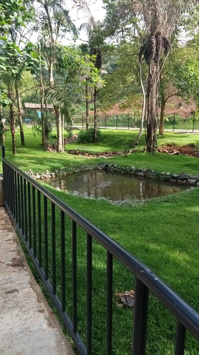This image captures a serene outdoor scene, likely a landscaped park or garden in Ikogosi, Nigeria, under bright daylight conditions. In the foreground, a black metal railing extends from left to right, providing a barrier between a light grey concrete path on the left and a lush green lawn.
The central feature of the scene is a small, roughly rectangular pond, its edges neatly defined by a border of natural stones. The water in the pond is dark and reflects the surrounding environment, with concentric ripples on its surface suggesting a disturbance or a subtle water feature.
The pond is situated within a wide expanse of vibrant green, well-manicured grass. Numerous trees are scattered across the landscape, varying in species. Many appear to be tall, slender trees with palm-like fronds, while others have denser, leafy canopies. The sunlight filters through the leaves, creating patterns of light and shadow on the grass.
In the background, a subtle fence line runs horizontally, separating the groomed park area from a higher, more natural-looking terrain characterized by reddish-brown earth and thicker, wilder vegetation. A faint, light-colored structure, possibly a distant bridge or building, can be seen partially obscured by trees in the far left background. The overall impression is one of tranquility and natural beauty. There are no people visible, nor is there any discernible text within the image. The time of day appears to be daytime, with clear weather and ample sunshine.