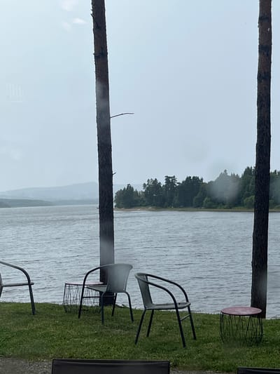 The image depicts an outdoor scene by a lake. Two large, dark tree trunks frame the view vertically. Beyond the trunks, a body of water stretches across the frame, appearing slightly choppy with ripples. The far shore of the lake is lined with dense green trees, and on the left side of the image, a patch of mist or fog hangs low over the treeline. In the foreground, on the grassy bank to the right of the lake, are several pieces of outdoor furniture. Two black metal chairs with curved backs are visible, one slightly further back than the other. Below one of the chairs is a black wire basket. A small, round table with a pink top and a black wire base is also present. The weather appears overcast and possibly rainy, with a muted, gray light and reflections on the water suggesting a cloudy day. The overall mood is serene and somewhat melancholic, possibly due to the weather. There is no visible text in the image.