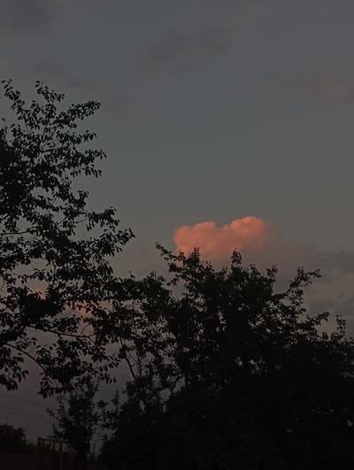 The image depicts a serene outdoor scene at dusk, possibly in or around Kızıl-Bel, Kyrgyzstan, given the presence of silhouetted trees and a sky tinged with the soft hues of sunset. The foreground is dominated by the dark silhouettes of leafy trees, their branches reaching upwards and across the frame, obscuring much of the lower portion of the image. Through the dense foliage, glimpses of a dusky sky are visible, with muted shades of grey and a hint of twilight.
The focal point of the image is a single, small cloud illuminated by the setting sun, casting a warm, rosy glow on its surface. This vibrant pink cloud stands out against the otherwise muted tones of the sky and the dark silhouettes of the trees. The overall atmosphere is tranquil and slightly melancholic, characteristic of a peaceful evening. No people are visible in the image. The environment appears natural, with the trees suggesting a semi-rural or park-like setting rather than a dense urban landscape. The lighting conditions indicate it is twilight, with the sun having recently set or being very low on the horizon.