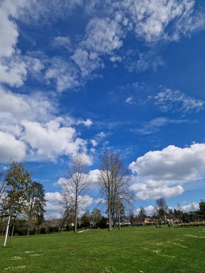 The image shows a park in Rheinfelden, Switzerland. The sky is bright blue with scattered white clouds. A large expanse of green grass covers the foreground. Several trees, some bare and some with budding leaves, are interspersed throughout the park. In the background, buildings and houses suggest a residential area. People are present in the middle distance, possibly engaging in recreational activities.