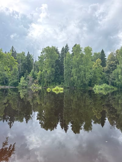 The image shows a tranquil forest scene reflected in a body of water. The foreground is dominated by the dark, still water, which mirrors the lush green trees and cloudy sky above. The trees form a dense wall along the edge of the water, with a variety of deciduous and coniferous species visible. The sky is overcast with dramatic grey clouds, suggesting an impending change in weather. There are no people or man-made objects visible in the image. The location appears to be a natural environment, possibly a lake or pond within a forest.