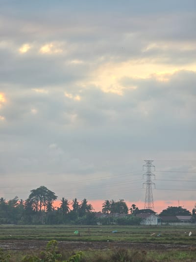The image depicts a rural landscape in Rhengbluek, Indonesia, during either sunrise or sunset. A vast expanse of overcast sky dominates the upper portion of the frame, with patches of soft, warm light breaking through the clouds, casting a gentle glow. Below the sky, a dense line of trees, including palm trees and a large, mature tree, forms a natural barrier.
In the midground, a power transmission tower stands tall, its metallic lattice structure contrasting with the organic shapes of the trees. Several power lines extend horizontally from the tower, crossing the scene. Beyond the trees and the tower, a row of houses with red-tiled roofs is visible, suggesting a small village or settlement.
The foreground features a cultivated field, possibly rice paddies, with rows of planted greenery. The ground appears somewhat muddy and uneven. Scattered across the field are several small, colorful objects, which could be scarecrows or markers. A solitary white bird stands in the field, facing left. The overall atmosphere is serene and tranquil, capturing a moment of natural beauty in a semi-rural setting.