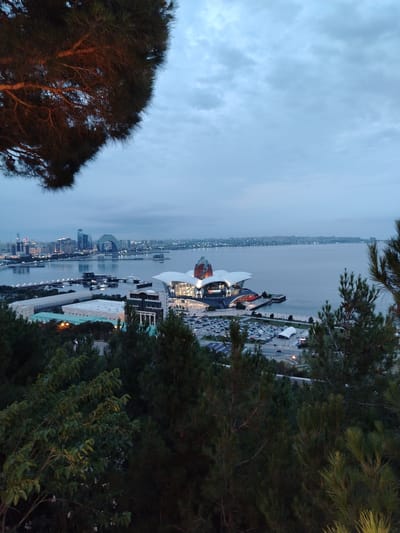 The image shows a panoramic view of Baku, Azerbaijan, at dusk. In the foreground, dark green pine trees frame the scene, with a large branch of a pine tree illuminated by warm light on the left.

The main subject is the Baku Boulevard area, with its iconic Flame Towers and the Crystal Hall visible in the distance across the Caspian Sea. Closer to the foreground, the Heydar Aliyev Center, a modern architectural marvel with a distinctive white, undulating roof, is brightly lit, drawing the eye. A large parking lot filled with cars is situated in front of the center, indicating public access. Several boats are docked in the harbor, and a large white yacht is visible. Various buildings, including what appears to be a long, white-roofed structure and other multi-story buildings, are scattered throughout the Boulevard area.

The sky is overcast with a mix of grey and blue hues, suggesting either a cloudy day or the transition from day to night. The city lights are beginning to twinkle, illuminating the skyline and reflecting on the calm water of the Caspian Sea. The overall mood is serene and contemplative, capturing the beauty of the city as it transitions into the evening. There is no visible text in the image.