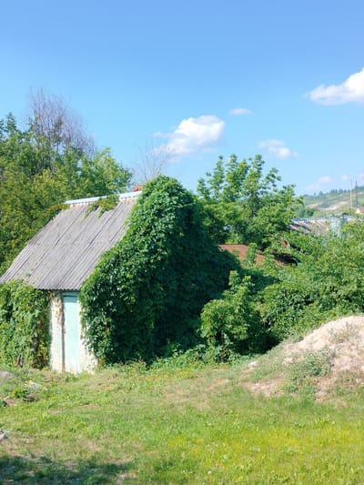 In the city of Kalach, Russia, an old, abandoned building is overgrown with lush green vegetation. The structure, possibly a shed or small house, has a corrugated roof and a light blue door. The surrounding environment is characterized by a bright blue sky with scattered white clouds, dense trees, and a grassy foreground. The scene conveys a sense of neglect and nature's reclamation of man-made structures.