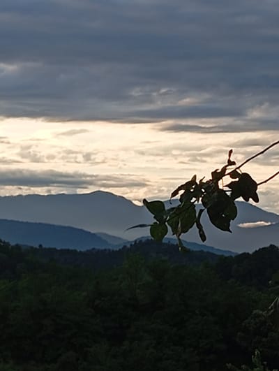 An outdoor, low-angle, vertical shot shows a silhouette of a tree branch with green leaves in the foreground against a hazy mountain landscape at sunset. The sky is filled with dark, textured clouds and a bright, hazy horizon. The mountains are layered, with the closest being dark and forested, while the farthest are a lighter blue hue. There is a hint of fog or mist in the valleys between the mountains. The overall impression is one of a serene, natural landscape at dusk.