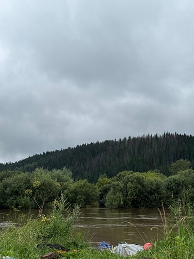 The image depicts a cloudy, overcast day with a wide, muddy river flowing through a natural landscape. On the far side of the river, a dense, dark green coniferous forest covers a sloping hillside, with some areas appearing dry and reddish, possibly indicating dead trees or an earlier fire. In the foreground, lush green grass and vegetation grow along the riverbank, with some taller, feathery plants. The river water is murky and appears to have a current. Towards the bottom right of the image, several pieces of debris, including what looks like plastic sheeting and a red object, are visible on the grassy bank, suggesting some form of human activity or littering. The overall atmosphere is somber and natural, with a hint of human impact. While the prompt specifies the location as Ust-Kishert, Russia, the image itself provides no direct visual cues to confirm this specific location, only a general natural environment.