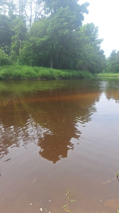 This is a photograph of a body of water, likely a river, with a dense line of trees and green vegetation lining the opposite bank. The water itself is a murky brown color, with a noticeable band of lighter brown sediment or a shallower area running horizontally across the middle of the frame. The surface of the water shows ripples and reflections of the trees and sky. A few small white bubbles are visible on the surface in the foreground. A single green plant stem is growing out of the water in the lower right corner. The sky is overcast and appears hazy. The location is identified as Vālodzes, Latvia.