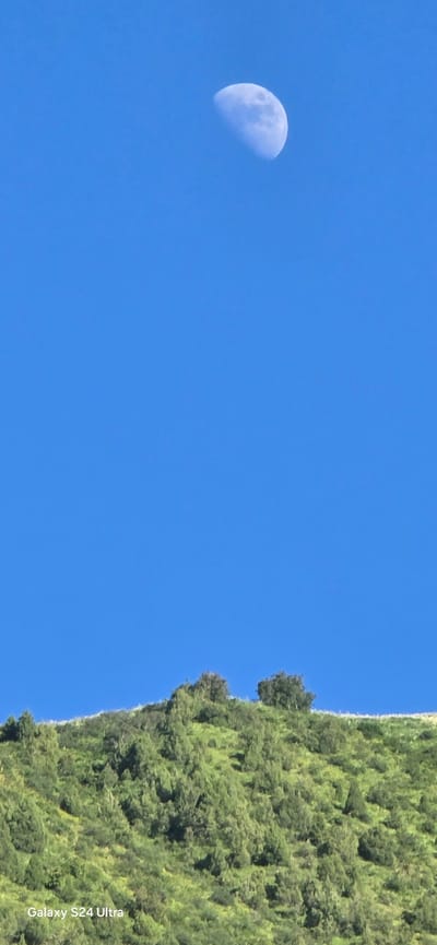 The image depicts a landscape scene with a clear blue sky and a lush green mountainside. A crescent moon is visible in the upper left quadrant of the sky, appearing pale and luminous against the vibrant blue. The mountainside, densely covered in trees and vegetation, occupies the right side of the frame, sloping upwards and disappearing out of view. The foliage appears varied in shades of green, suggesting a natural, untamed environment.

The lighting indicates it is daytime, likely mid-morning or afternoon, given the brightness of the sky and the visibility of the moon, which can sometimes be seen during the day. There are no people or specific objects in the scene besides the natural elements of the sky, moon, and mountain. The overall mood is serene and tranquil, characteristic of a natural landscape.

A watermark is visible on the lower right side of the image, reading "Galaxy S24 Ultra," indicating the device used to capture the photograph. The location context provided is Almaluu, Kyrgyzstan, which aligns with the mountainous terrain and natural scenery.