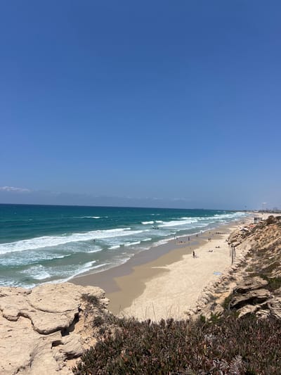 This image presents a wide, elevated view of Beit Yanai Beach in Israel under a clear, bright blue sky. The upper half of the frame is dominated by the unblemished sky. The lower half depicts the Mediterranean Sea with turquoise and green waters featuring multiple lines of white-capped waves breaking towards the shore. Numerous individuals are visible in the water, some swimming and others wading.
The expansive, light-colored sandy beach stretches from the foreground into the distant horizon. The beach is populated by individuals engaged in leisure activities: some are seen walking along the waterline, others are reclining or sitting on the sand, with a few visible under small, dark beach shelters or umbrellas.
To the right, a prominent sandy cliff face, characterized by weathered, light-colored rock formations and sparse, low-lying green and reddish-brown vegetation (succulents), descends towards the beach. A similar rocky outcrop is visible in the lower-left foreground, also covered with low vegetation. In the mid-ground along the beach, a white structure, consistent with a lifeguard station, is visible. Further down the coastline in the far distance, faint outlines of urban or industrial structures are present on the horizon, and several kites from kitesurfers or windsurfers are discernible above the water. The scene indicates a sunny day with calm conditions suitable for beach activities.