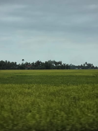 The image depicts an expansive, verdant field, consistent with a rice paddy, under an overcast sky in Kampungjumpa, Indonesia. The foreground exhibits significant horizontal motion blur across the green vegetation. In the midground, a dense line of tropical trees, predominantly palm varieties, forms a natural barrier. Centrally positioned behind this foliage, a multi-story residence with a reddish-brown roof is partially visible. To the far right, a tall metallic pylon or tower rises above the tree line, and faint smoke or haze is observed beyond the distant trees. The sky occupies the upper third of the frame, showing light grey and pale blue tones with subtle horizontal cloud formations. No individuals, animals, or explicit actions are present.