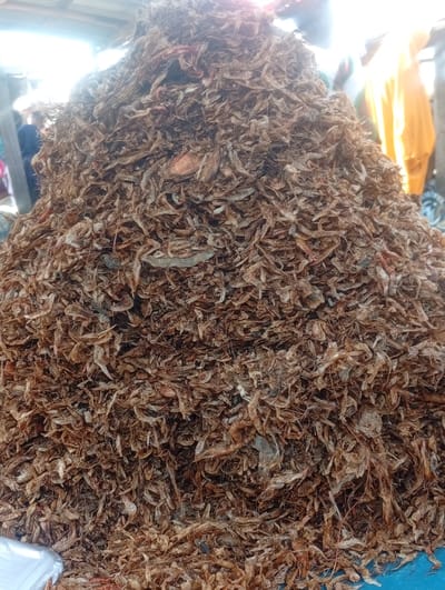A large, conical mound of small, dried, brownish-red crustaceans, consistent with shrimp or crayfish, occupies the majority of the foreground and center. The texture of the pile is rough, composed of numerous individual, shriveled specimens. In the blurred background, indistinct figures are visible, including a person or object draped in bright yellow fabric to the right. The scene is brightly lit, consistent with an outdoor or semi-outdoor market environment, with light-colored structures partially visible at the top. A crumpled white plastic material is present in the lower-left foreground, while a blue surface supports the base of the crustacean pile on the lower right. The image depicts a market stall display in Wamba, Nigeria.