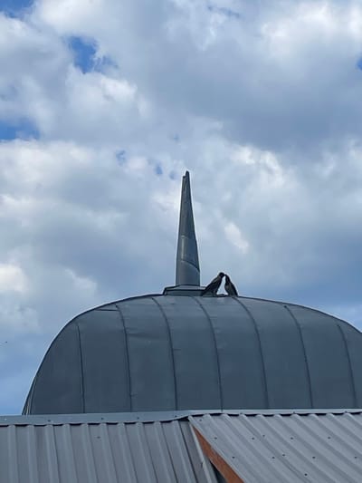 The image shows two birds perched on the pointed tip of a large, grey, cylindrical structure. The structure appears to be made of metal panels and is partially obscured by a corrugated metal wall on the right side of the frame. The sky above is a mix of blue sky and white clouds, suggesting it is daytime with fair weather. The perspective is from below, looking up at the birds and the structure against the sky. The focus is on the birds, which are silhouetted against the bright sky and seem to be interacting closely. The overall scene is one of nature and man-made structures in proximity, with the birds occupying a prominent position on the industrial-looking object. There is no visible text in the image.