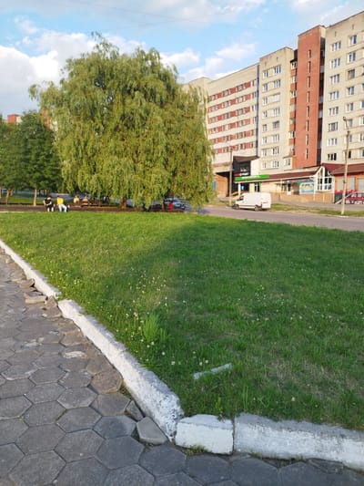 The image depicts a street scene in Novyi Rozdil, Ukraine, on a clear day with a partly cloudy sky. In the foreground, a gray hexagonal paver sidewalk is visible on the left, with a white concrete curb separating it from a grassy area. The grass is green with scattered small white flowers. Further back, a large, mature tree with green, drooping foliage dominates the left side of the frame, casting shadows. Beyond the tree, a group of people are seated on benches. A white van is driving on a paved road in the middle ground. On the right side of the image, multi-story residential buildings with red brick accents and numerous windows are visible. A storefront with a red awning and signage is also present at the base of one of the buildings. The overall scene appears to be a public space within a residential area of the city.
