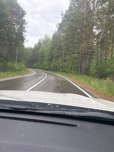 The image shows a view from the windshield of a car driving on a wet, asphalt road through a forest. The road curves to the left, with white lines marking the lanes. Tall pine trees line both sides of the road, with lush green foliage. The sky is overcast and grey, suggesting a cloudy or rainy day. The interior of the car, including the dashboard and part of the windshield wipers, is visible in the foreground. The scene depicts a drive through a wooded area in Savvateevka, Russia.