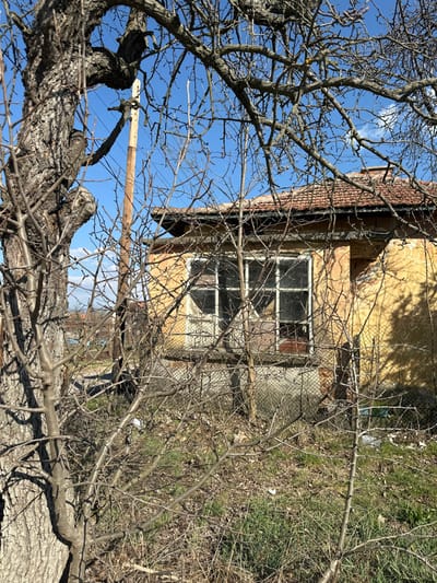 The image displays an outdoor scene in Dolni Rakovets, Bulgaria, under a clear blue sky. In the foreground, a dense network of bare deciduous branches from multiple trees and shrubs partially obscures the view. A thick-trunked tree with rugged bark is prominently positioned on the left side of the frame. In the midground, a single-story building with a textured, ochre-colored facade and a red-tiled roof is visible. The building features a large, multi-pane window, some sections of which exhibit broken glass or are obscured by dark material internally. A section of chain-link fence runs along the base of the building. A wooden utility pole, equipped with insulators and wires, stands behind the large tree, extending vertically against the sky. The ground consists of dry, sparse brown grass and soil, with patches of green vegetation. No individuals are present in the scene.