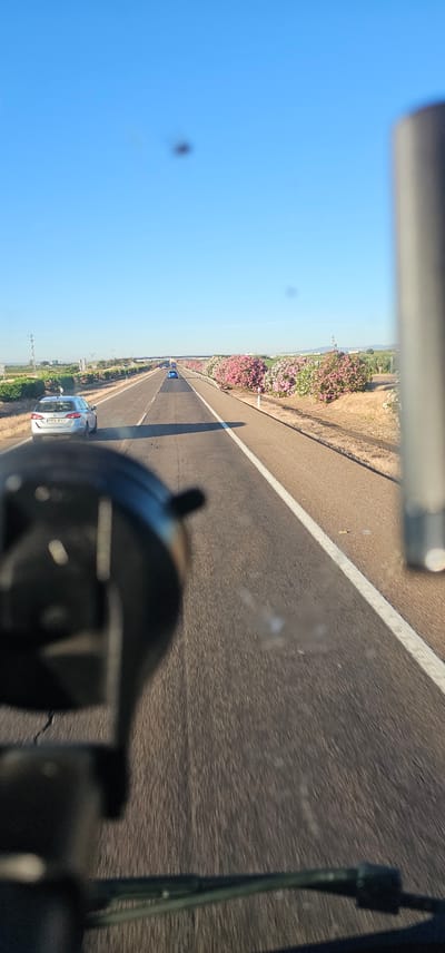 The image depicts a view from inside a vehicle, looking out onto a highway. The road is asphalt with white lane markings. On the right side of the road, there is a row of flowering bushes in shades of pink and white. On the left side of the road, there are fields and vegetation, with some power lines visible in the distance. A few cars are visible on the highway, including a silver car in the foreground on the left. The sky is clear and blue. In the foreground of the image, out of focus, are parts of the vehicle's interior, including a black object on the left and a vertical silver cylinder on the right. There are some smudges and debris on what appears to be the windshield. The overall impression is of a sunny day on a highway in a rural area. Based on the details in the image, it is plausible this scene is located in or around Torremejía, Spain, given the vegetation and typical highway infrastructure seen in the region.