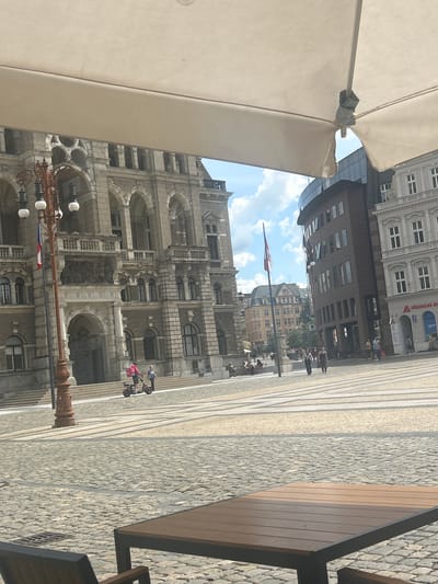 This urban scene, captured in Liberec, Czechia, portrays a lively city square under bright daylight conditions, with a mix of historical and modern architecture. The sky is partly cloudy with patches of blue.
In the immediate foreground, a large, light-beige outdoor umbrella or awning partially frames the left side of the image, while a portion of a wooden table with a dark metal frame is visible on the far right, suggesting an outdoor cafe. The ground is paved with a combination of grey cobblestones and smoother, striped light-colored flagstones.
The central feature of the image is a grand, intricately detailed stone building with a light grey facade, adorned with numerous arched windows, decorative cornices, and sculptural elements. In front of this building stands an ornate street lamp post with multiple lights. Further in the background, other buildings of varying architectural styles are visible, including one with modern glass elements, and a flagpole flying a red and white flag.
Several people are scattered throughout the square. Two individuals near the ornate building are riding personal transporters, possibly Segways. Other people are seen walking or standing, contributing to the active atmosphere of the square. On a building in the mid-distance, a blue sign with white text is visible, clearly displaying "VZ VESMÍR" and "ODĚVY", indicating a business. The scene conveys a calm and ordinary day in a European city.
