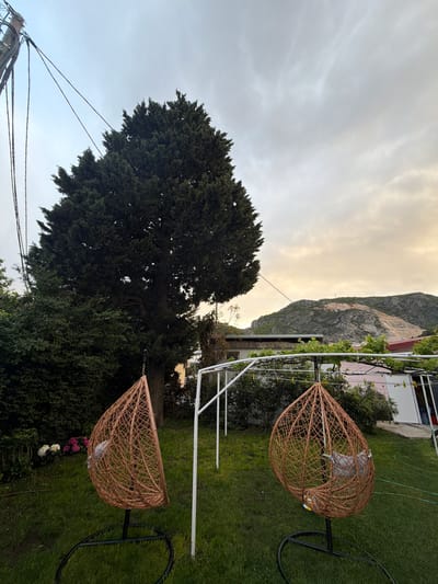 The image depicts an outdoor setting in Zgrade, Montenegro. Two wicker teardrop-shaped chairs hang on metal frames amidst a grassy area. A large, dark green tree is visible to the left. In the background, a mountainous terrain rises under a cloudy sky. Electrical wires are strung across the lower left portion of the image. A building is partially visible in the upper-right corner, situated behind the chairs. Some greenery is also present within the shot.