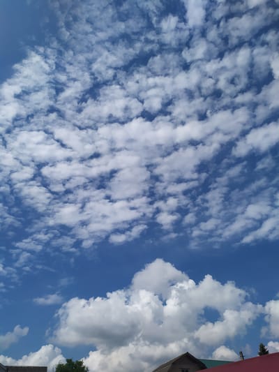 This is a vertical, eye-level photograph of a bright blue sky filled with scattered, wispy white clouds. The clouds are denser and larger in the lower portion of the frame, forming fluffy formations, some with shadowed undersides, suggesting a sunny day. In the bottom third of the image, the rooftops of houses are visible, with one roof being red and another a darker color with visible shingles. A green tree is partially visible on the left side. The scene appears to be in a rural or suburban area, possibly the city of Turka, Ukraine, given the presence of residential rooftops and vegetation. There are no people or animals visible in the frame. The overall lighting is bright, indicating daylight.