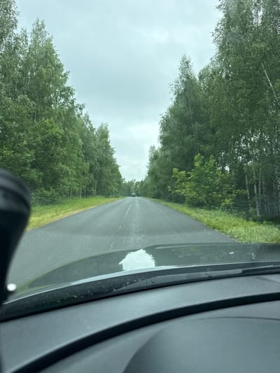 The image shows a POV shot from inside a vehicle, looking out at a paved road stretching into the distance. The road is flanked by dense green trees on both sides, creating a tunnel-like effect. The sky is overcast, suggesting a cloudy or possibly rainy day. The right side of the image features the interior of the vehicle, including a portion of the car door or frame, which appears to be dark gray. There is a reflection of the sky and trees on the wet surface of the road. The foliage is lush and varied, indicating a temperate climate. In the far distance, a small object, possibly another vehicle, is visible on the road. The overall scene conveys a sense of journeying through a wooded area under subdued lighting conditions. The location is identified as Sosnovskoe, Russia.