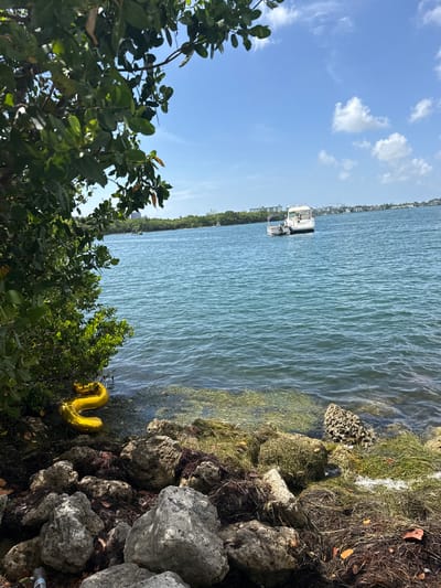 This media file captures a waterfront scene, likely in North Miami, Florida. The image is oriented vertically, with the water occupying the majority of the frame. A bright blue sky with scattered white clouds suggests fair weather, possibly mid-morning or afternoon.
In the distance, across the calm, blue water, a shoreline is visible with trees and buildings, indicating a developed coastal area. A white boat is anchored in the water, and further in the background, another, smaller boat is also present.
The foreground of the image is dominated by the shoreline, which is rocky and covered with green grass and some dried vegetation. In the lower right quadrant, a large, gold, inflatable balloon shaped like the number "2" is partially visible, resting amongst the rocks and vegetation. The presence of this balloon suggests a celebration or a significant occasion, possibly a birthday. Green foliage from trees partially obscures the view in the lower left of the image. The overall mood appears relaxed and scenic, typical of a day spent by the water. No visible text is present.