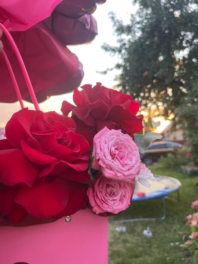 A close-up shot features a bouquet of red and pink roses emerging from a pink container. The roses are the primary focus, with their petals unfurling. In the background, out-of-focus elements include greenery, trees, and what appears to be a car. The setting suggests an outdoor environment, possibly a garden, under natural lighting, with the sun visible in the distance. The image is taken in the vicinity of Sarotsk village, Belarus.