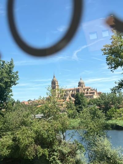 The image captures a view of the New Cathedral of Salamanca, Spain, seen from across the Tormes River. In the foreground, lush green trees and foliage dominate the scene, with a body of water reflecting the bright blue sky. The New Cathedral, a magnificent architectural landmark, stands prominently in the middle ground, its dome and spires reaching towards the sky. The building's stone facade is illuminated by the sunlight, highlighting its intricate details. The sky is a vibrant blue, dotted with a few wispy white clouds. There are no people visible in the image. The overall impression is a serene and picturesque landscape of a historic city.