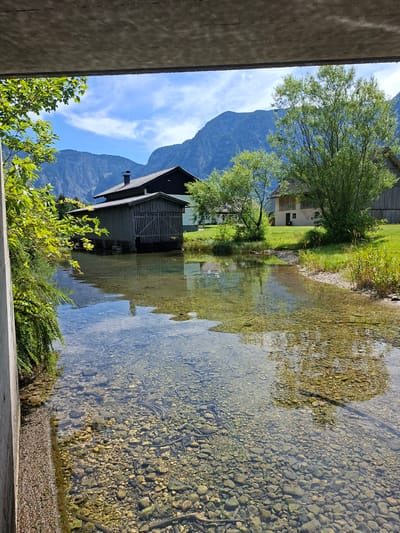 This is a photograph taken from a bridge looking out over a clear, shallow body of water with a rocky bottom. In the foreground, the edge of the concrete bridge structure is visible on the left, with lush green foliage hanging over the water. The water reflects the sky and surrounding trees.

Across the water, there is a wooden boathouse with a dark roof and a large, open doorway. Behind the boathouse, there are trees and a building with a light-colored facade and a dark roof. Further in the background, large, tree-covered mountains rise under a bright blue sky with scattered white clouds. The scene depicts a serene, natural environment likely in Obertraun, Austria, given the architectural style and mountainous landscape typical of the Salzkammergut region. There are no people or animals visible in the image.