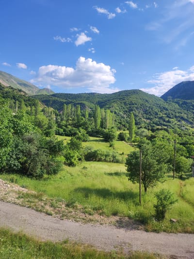 The image shows a lush green landscape with rolling hills and mountains under a bright blue sky with scattered white clouds. In the foreground, a dirt road winds its way through tall green grass. Several trees, some tall and slender, others more rounded, dot the landscape. Power lines are visible running between wooden poles. The scene appears to be a rural area, possibly in the Egnatia Municipal Unit of Greece, given the vegetation and mountainous terrain. There are no people or animals visible in the image. The lighting suggests it is daytime, likely late morning or early afternoon, with the sun casting shadows across the grassy fields.