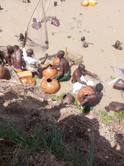 The image depicts an outdoor communal fishing scene occurring in muddy water near a dirt bank in Kokani North, Nigeria. A minimum of 15 adult males are visible, predominantly standing or wading in the light brown, murky water, which reaches depths from knee to chest level. Most individuals are shirtless, wearing various colored shorts or tank tops; one man in the foreground wears a white long-sleeved shirt and dark shorts.

Multiple large fishing nets are present; one man in the mid-left foreground holds a large net vertically, while others are partially submerged or handled by individuals. Numerous large, spherical, reddish-brown calabash gourds, many featuring circular openings, are scattered throughout the water, some floating freely, others being managed by the individuals. A man in a red tank top and white cloth is bent over one such gourd in the mid-right. In the upper mid-ground, a yellow rectangular container and a smaller spherical object float in the water. Small green aquatic plants are dispersed across the water's surface. The immediate foreground features a raised dirt bank with sparse green grass and dried organic debris. Shadows cast on the bank indicate direct sunlight.