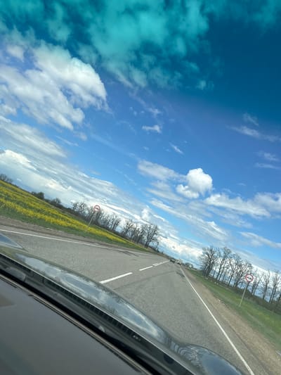 The image appears to be taken from inside a moving vehicle, showing a road stretching into the distance. On either side of the road are fields, one with bright yellow flowers. Trees line the edge of the fields. A road sign is visible on the right side of the road, near a patch of grass. The sky is blue with scattered clouds. The location is Troitskaya, Russia.