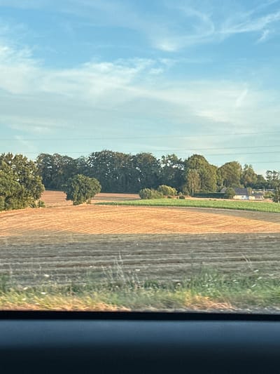 The image depicts a rural landscape with a harvested field in the foreground, showing neat rows of stubble. Beyond this field, a lush green strip separates it from another field with dry, golden stubble arranged in similar rows. A line of trees forms a dark green backdrop across the middle ground. Further in the distance, a small white house with a dark roof is visible, nestled amongst the trees. The sky above is a pale blue with wispy white clouds. Power lines are visible horizontally across the upper portion of the image. The scene appears to be located in or around Saint-Eustache-la-Forêt, France, given the characteristic agricultural landscape.
