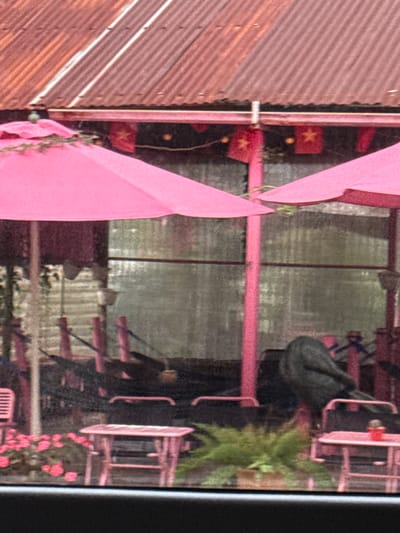 The image shows an outdoor seating area with pink umbrellas and tables, likely at a cafe or restaurant in Đưng K'Si, Vietnam. The corrugated metal roof of the building is visible at the top of the frame, and red flags with yellow stars are hanging along the eaves, suggesting a Vietnamese national theme. In the background, there are glass panels, possibly part of a storefront or covered walkway. Several pink tables and chairs are arranged in the seating area. A dark, hooded figure, possibly a person wearing a jacket, is seated in one of the chairs. A small potted cactus sits on a table in the foreground. The overall impression is one of a casual, outdoor dining or relaxation space, possibly decorated for a holiday or national celebration.