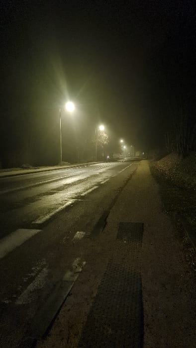 A night scene depicts a road with streetlights stretching into the distance, vanishing into fog. The road surface is wet, reflecting the artificial lights. The right side of the road is lined with a curb and a textured, possibly paved, area. Vegetation is visible along the edge. The overall atmosphere is dark and damp.