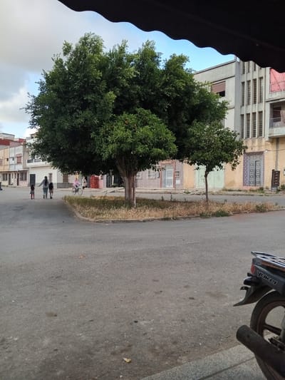 The image depicts a street scene in Ksar-el-Kebir, Morocco. A large tree dominates the left side of the frame, with its foliage obscuring portions of the buildings behind it. Several people are visible on the street, including individuals walking and someone riding a bicycle. The street itself appears to be paved and includes a curb separating it from the adjacent building fronts. A portion of a parked motorcycle is visible in the upper right corner. The buildings lining the street exhibit a variety of architectural styles and colors. The sky is visible in the upper left corner.