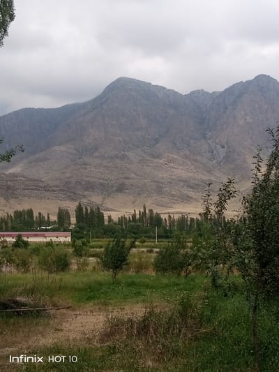 The image captures a rural landscape under a cloudy sky. In the foreground, there is overgrown grass and some dead branches. Further back, a low-slung building with a red-tiled roof is visible, surrounded by a variety of trees and vegetation. A line of tall, slender trees runs horizontally across the mid-ground, separating the immediate foreground from the distant mountains. These mountains dominate the background, their rugged slopes receding into the hazy atmosphere. The overall scene suggests a natural, undeveloped environment. The Infinix HOT 10 watermark indicates the device used to capture the image. The location is Zarkent, Uzbekistan.