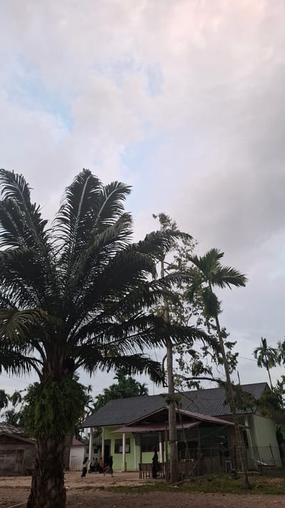 The image depicts a scene in Grong-grong, Indonesia, under a cloudy sky. In the foreground, a large palm tree with dense fronds dominates the left side of the frame. Behind the palm tree, a light green building with a dark grey roof is visible. Several individuals are gathered in front of and around the building. To the left of the building, a smaller wooden structure is present. Other palm trees and foliage are scattered throughout the background. The ground appears to be unpaved. The overall atmosphere suggests a rural or semi-rural setting.