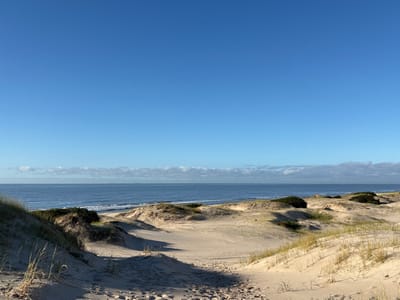 The image presents a wide view of a coastal dune landscape in Ciudad de la Costa, Uruguay, under clear skies. The foreground features a sandy depression or path flanked by undulating sand dunes, some covered with sparse light-colored grasses and low, dark green shrubbery. Distinct shadows are cast by these dunes onto the sand, indicating direct sunlight. In the midground, additional sand dunes extend towards the water's edge, exhibiting similar vegetation patterns. The background is dominated by the calm, blue expanse of the Atlantic Ocean, with small waves gently breaking near a visible sandy shoreline. A thin, horizontal band of light-colored clouds or haze is present above the distant ocean horizon. The upper half of the image consists of an uninterrupted, clear blue sky. There are no individuals, animals, artificial structures, or overt actions depicted within the scene.