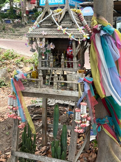 This image depicts an outdoor spirit house decorated with colorful fabrics and garlands in Ao Hin Khok, Thailand. The spirit house, constructed from weathered wood, features multiple levels and decorative elements. A red Fanta bottle is visible inside the structure, along with what appear to be small figurines and offerings. Garlands of white beads and pink artificial flowers hang from the spirit house. The structure is situated next to a large tree wrapped in a vibrant collection of multicolored sheer fabric strips. In front of the spirit house, several potted cacti and other plants are visible, resting on the ground and within a wooden enclosure. The ground is covered with fallen leaves and dirt. In the background, a road and more vegetation can be seen, along with hints of buildings and signage, suggesting an urban or semi-urban environment. There are no people visible in the image.
