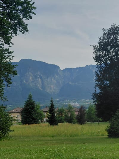 The image depicts a mountainous landscape viewed from a park-like setting in Levico Terme, Italy. In the foreground, a lush green lawn transitions into a field of tall grass dotted with small white flowers. Several coniferous trees and deciduous trees are scattered across the middle ground, with some residential buildings peeking through. In the distance, a majestic mountain range dominates the horizon, its slopes partially obscured by a hazy sky. The scene is a serene depiction of nature and human habitation coexisting, likely captured during daylight hours.