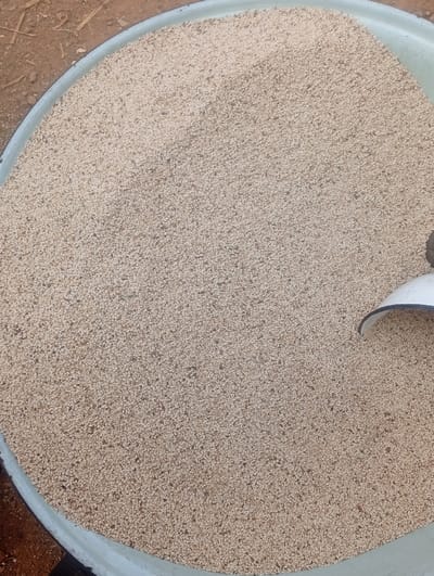 A large, light blue-grey circular metal basin, approximately 60-70 cm in diameter, is filled with a uniform layer of light brown to beige granular material, consistent with sesame seeds. The seeds fully occupy the basin, reaching its slightly raised rim. A portion of a white measuring scoop, featuring a dark edge, is visible on the right side, embedded in the seeds. The basin is positioned on an uneven reddish-brown earth or dirt surface, which is visible along the basin's upper left and lower left external edges. No individuals, actions, or direct interactions are depicted. The scene is situated in Wamba, Nigeria.