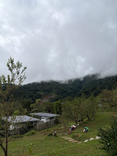 The image depicts a cloudy day in Ban Khun Wang, Thailand, with a mountainous landscape. In the foreground, a grassy slope leads down to a few structures. Two motorcycles are parked on the grass, one red and white with a red box on the back, and the other white with a green box on the back. A path of stepping stones winds across the grass towards the motorcycles.

Further down the slope, two buildings with grey metal roofs are visible. They appear to be small, modern houses. One building is white with a darker grey roof, and next to it is a lower structure with a similar roof. A bamboo fence runs behind these buildings.

The midground is dominated by lush green trees covering the rolling hills. In the background, the mountains are shrouded in mist and low-lying clouds, obscuring the upper portions of the peaks. Small patches of cultivated land or terraces are visible on the slopes of the mountains. A single, leafy tree stands in the left foreground. The overall atmosphere is serene and natural, characteristic of a rural mountain setting.
