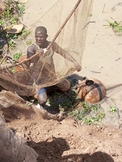 An adult male is observed in a shallow, turbid body of water at the edge of a sandy bank in Kokani North, Nigeria. He has dark skin, short dark hair, and is wearing a light-colored, possibly striped, sleeveless top and dark blue shorts. The man is actively engaged in fishing, holding and manipulating a large, coarse-mesh fishing net attached to a long wooden pole. Several small, silver fish are visible in the muddy water near the net. To his right, two large, spherical, brown objects, consistent with gourds or buoys, float in the water; one displays a dark band and a dark scoop partially submerged in an opening. Green aquatic vegetation is scattered throughout the water and along the bank. The immediate foreground consists of disturbed light brown sandy soil, illuminated by bright daylight, casting visible shadows.