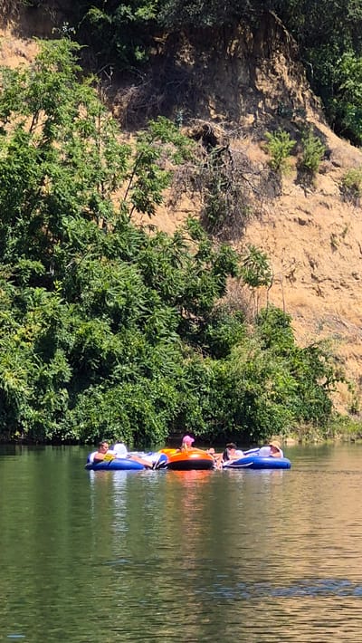 The image depicts a serene scene on a body of water, possibly the American River in Carmichael, California, given its characteristic riparian environment and the warm climate suggested by the activity. Four individuals are engaged in leisurely tubing, each occupying their own inflatable tube. The tubes are arranged in a loose procession. Closest to the left, a person in a white shirt and blue tube is visible. Next to them, another person is in an orange tube, wearing a pink hat. To the right of the orange tube, a person in a white shirt and black shorts is reclined in a blue tube. The furthest person to the right, in a blue tube, is wearing a white shirt and a straw hat. The water is calm and reflects the surrounding lush green trees and a steep, sandy embankment with sparse vegetation. The overall impression is one of a tranquil summer day spent outdoors.
