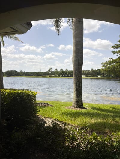 This is a vertical, outdoor, medium shot photograph of a pond in Weston, Florida. The pond is calm with gentle ripples on its surface. The far bank of the pond is lined with dense green trees and some palm trees are visible. A clear blue sky with fluffy white clouds fills the upper portion of the image. In the foreground, a large palm tree trunk is prominently featured, angled across the frame. To the right of the pond is a lush green lawn, with dappled sunlight creating shadows. A dense shrubbery with dark green leaves is in the bottom right corner, partially obscuring the lawn. To the left of the palm tree, a light-colored building structure is visible, with palm fronds extending from it. The scene appears to be from a residential or park-like setting, typical of South Florida. The lighting suggests it is daytime, likely late morning or early afternoon, with bright sunlight. There is no text visible in the image.
