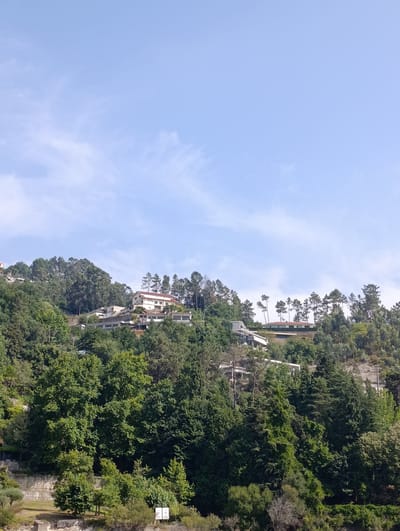 The image depicts a view of houses situated on a lush, tree-covered hillside in Vieira do Minho, Portugal. The sky above is a clear, pale blue with wispy white clouds. The houses, some with red-tiled roofs, are interspersed among dense green foliage, suggesting a hillside residential area or possibly a resort. The vegetation is varied, with tall trees and smaller bushes creating a layered effect. Some of the buildings appear to be modern in design with large windows. The overall impression is one of a tranquil, natural setting with human habitation integrated into the landscape. There are no people visible in the image, and the focus is on the architecture and the natural environment.