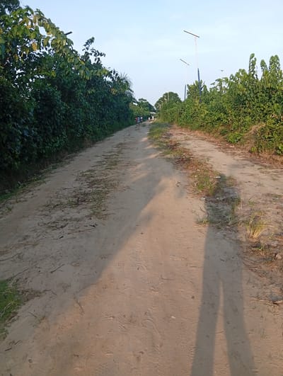 The image shows a dirt road in Ibotirem, Nigeria. The road is flanked by dense green vegetation on both sides. Several tall, thin light poles are visible along the right side of the road. A few people are walking in the distance. The foreground of the road is sandy with scattered patches of grass and fallen leaves. Long shadows stretch across the road, indicating the time of day is early morning or late afternoon.